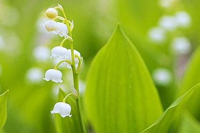 《喋血复仇》更新计划：离线模式、付费DLC、新难度